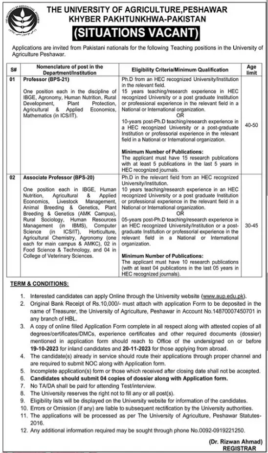 University of Agriculture Peshawar Jobs 2023 Opportunities