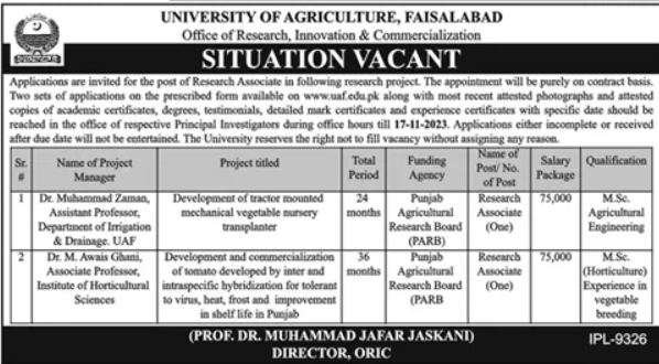 University of Agriculture Faisalabad Jobs 23 Epic Radiance